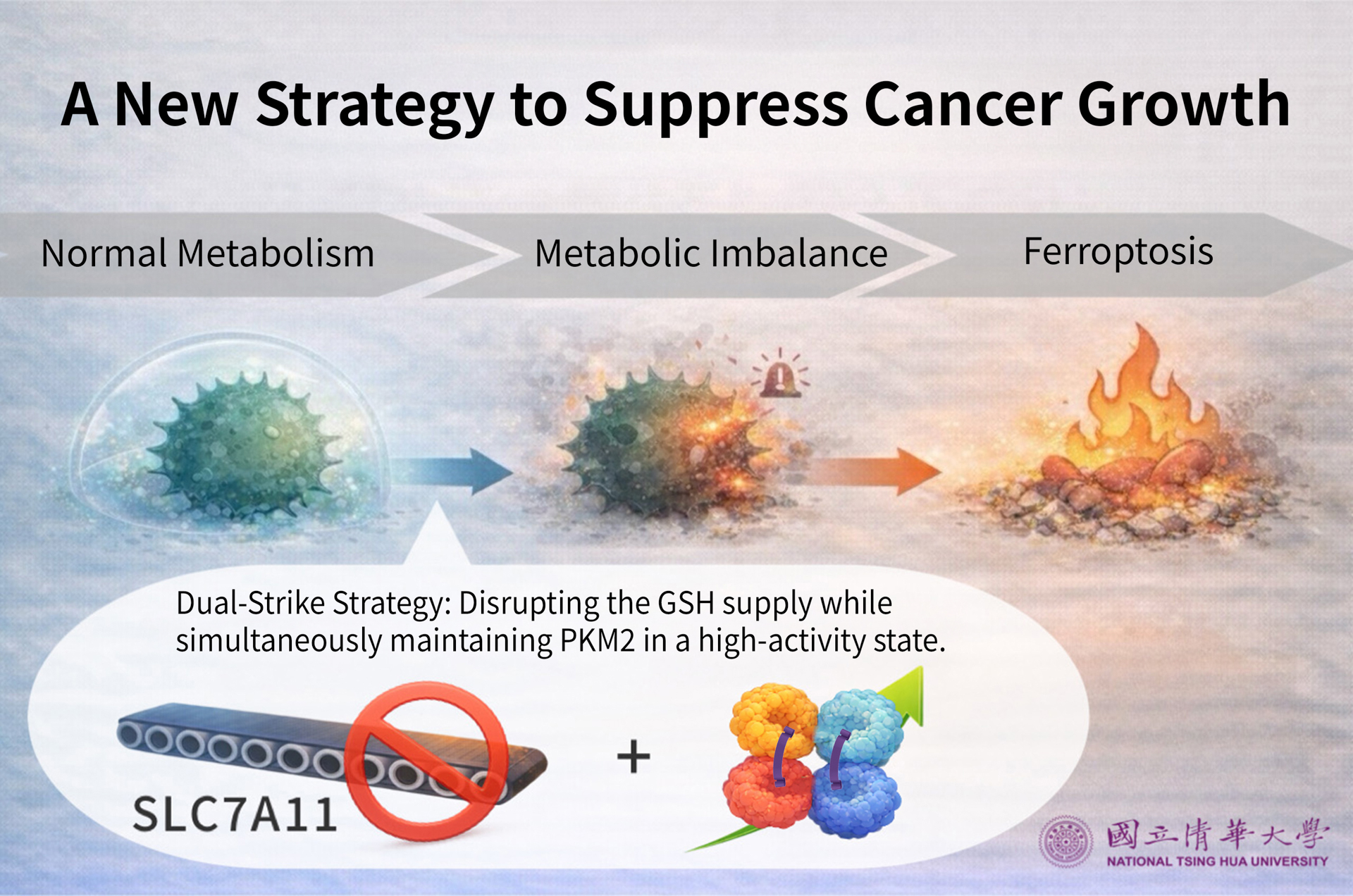 A new strategy to suppress cancer growth